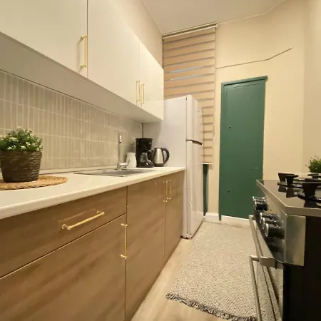 Missafir Stylish Flat Near Taksim Square Διαμέρισμα Κωνσταντινούπολη
